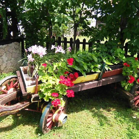 Seka شقة سوكو بانيا